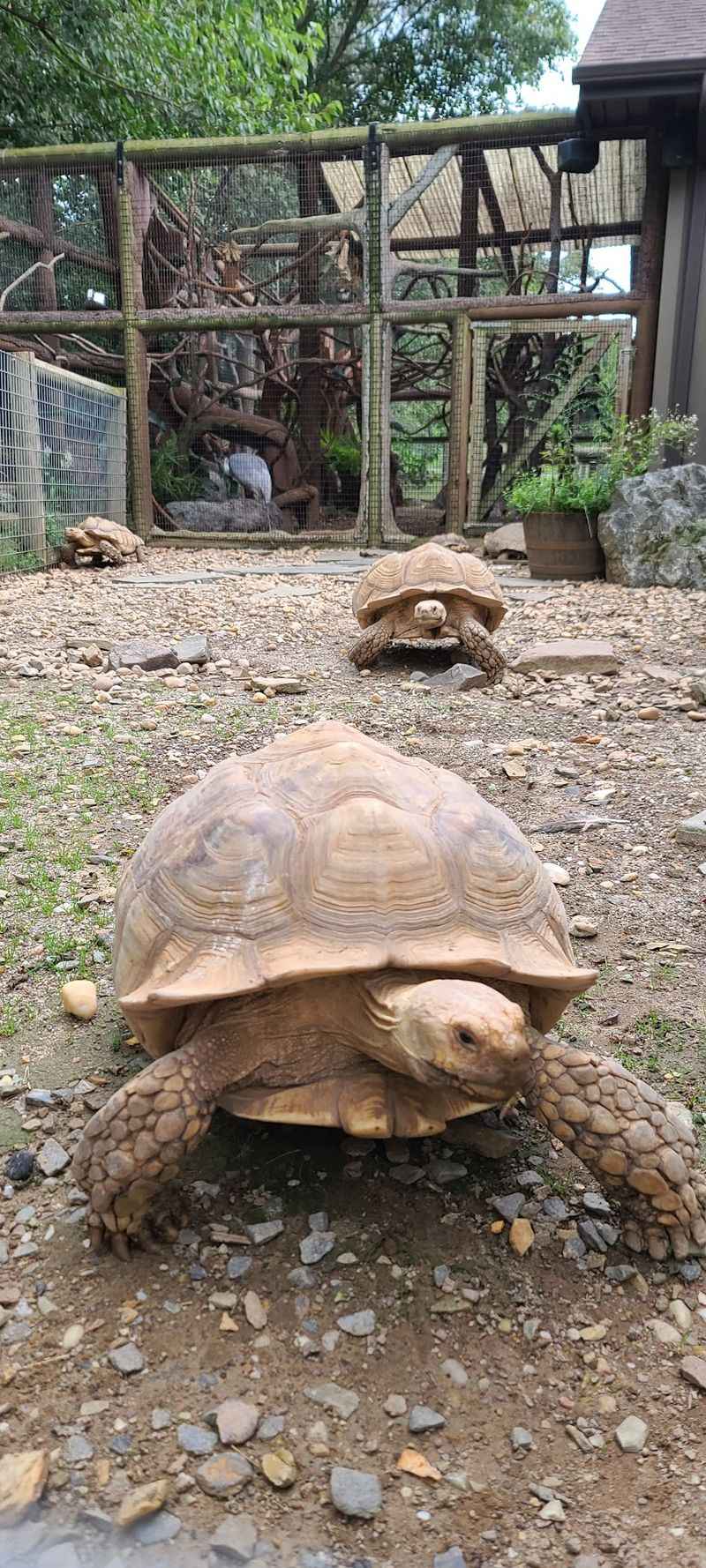 Reptile House Surprises for Curious Minds