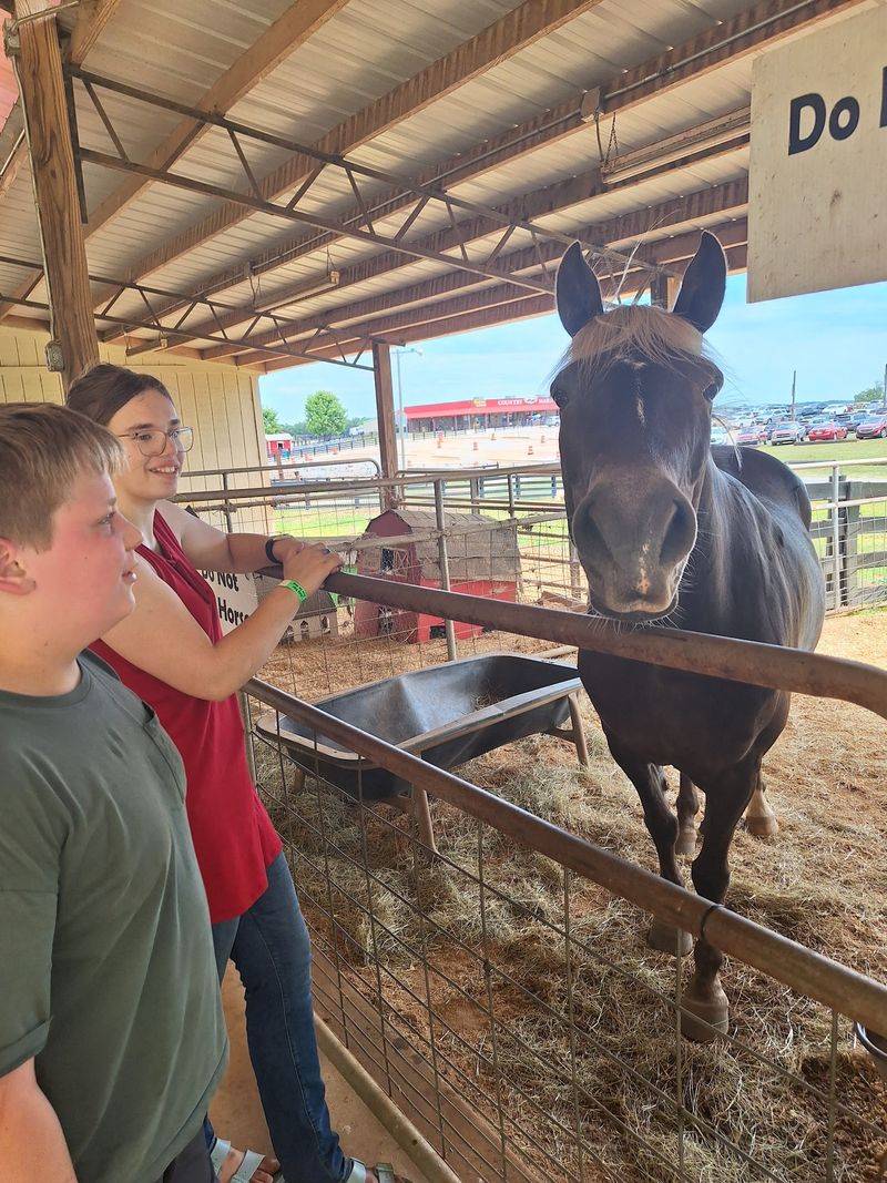 Southern Belle Farm