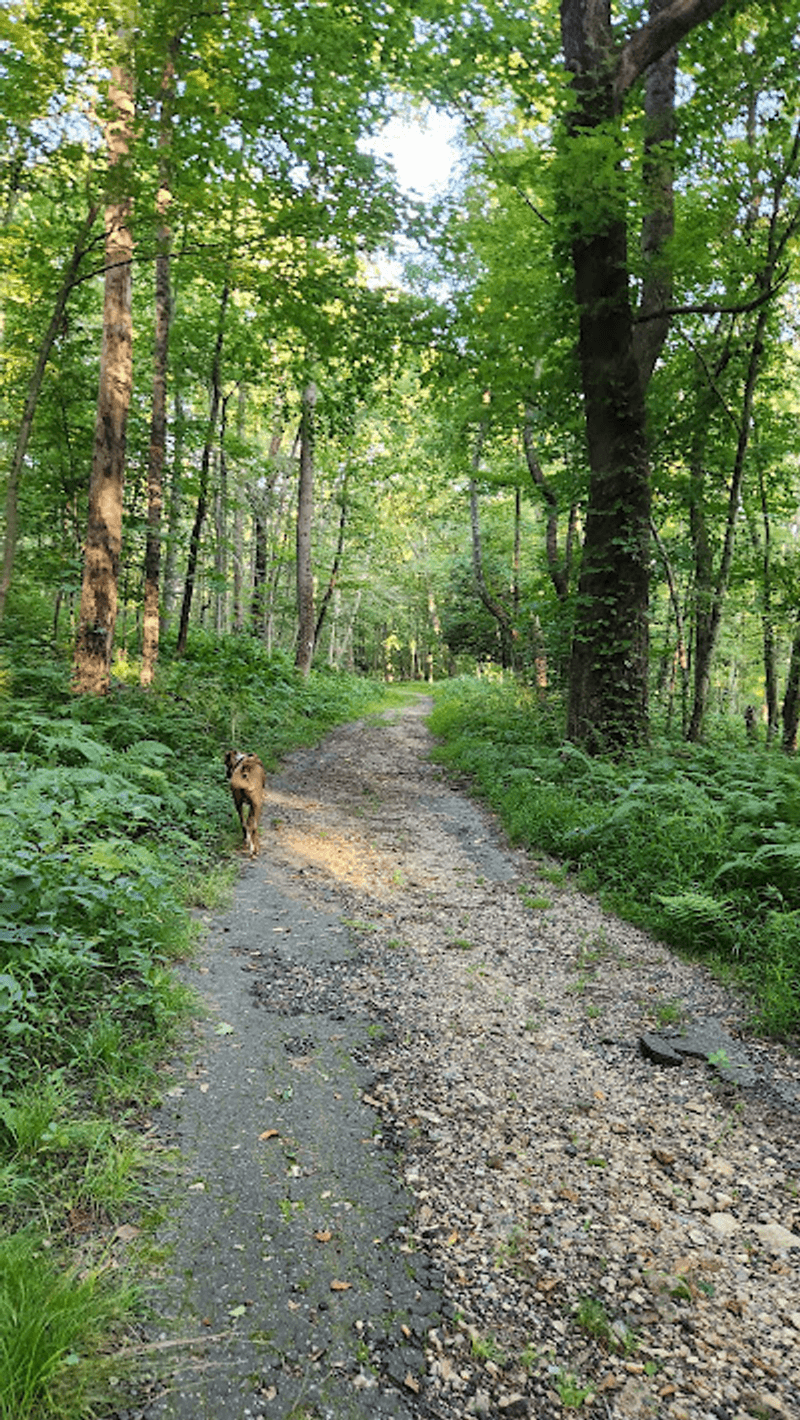Quiet Trails Give the Park Its Hidden Gem Feeling