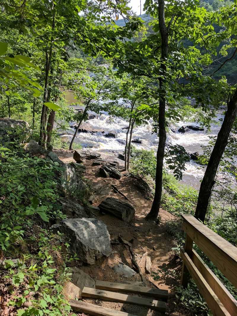 Sweetwater Creek State Park, Lithia Springs, Douglas County