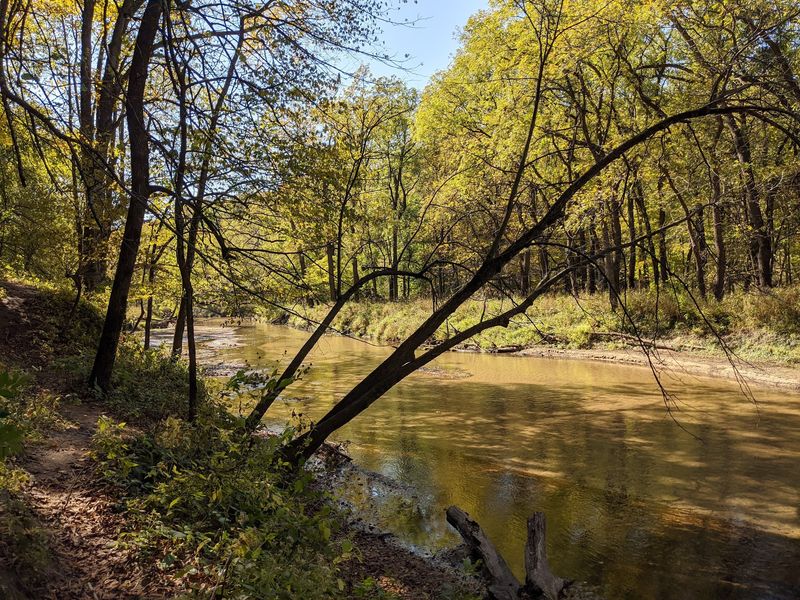Backbone State Park - Dundee