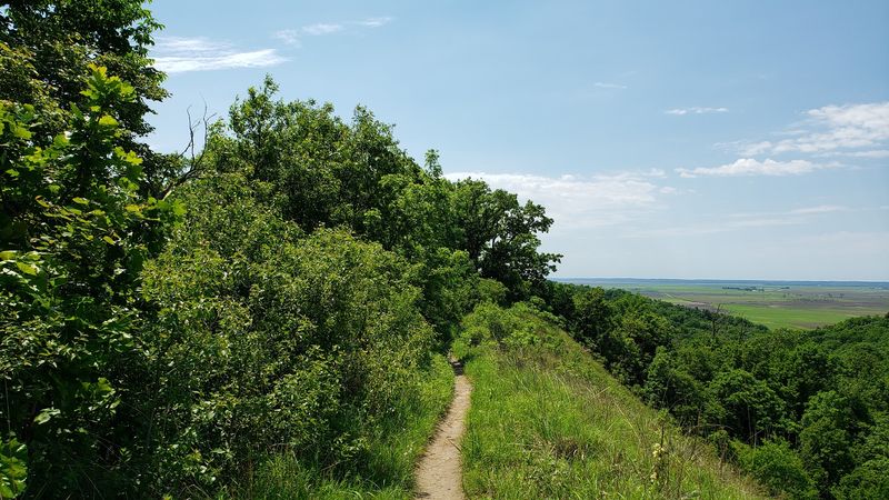 Waubonsie State Park Trail System