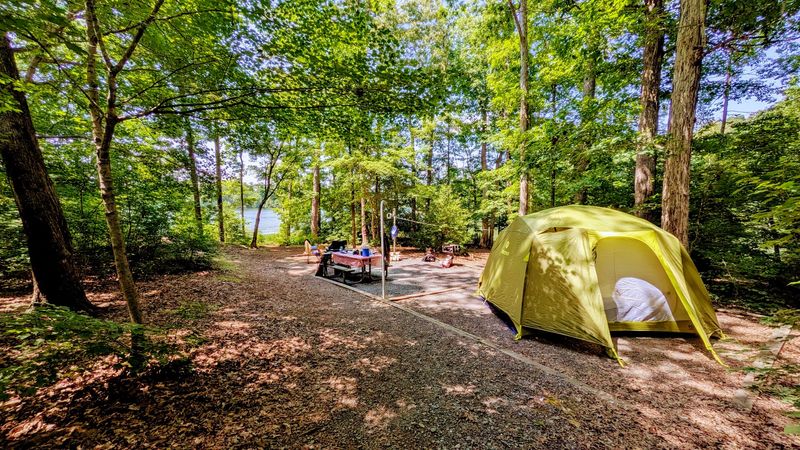 Uwharrie National Forest - Troy, Montgomery County