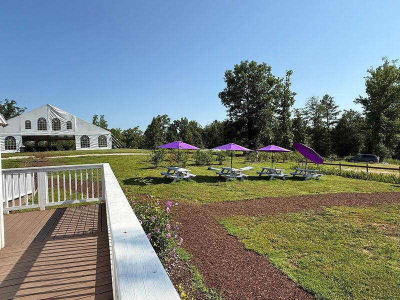 Events Turn The Farm Into An Evening Escape