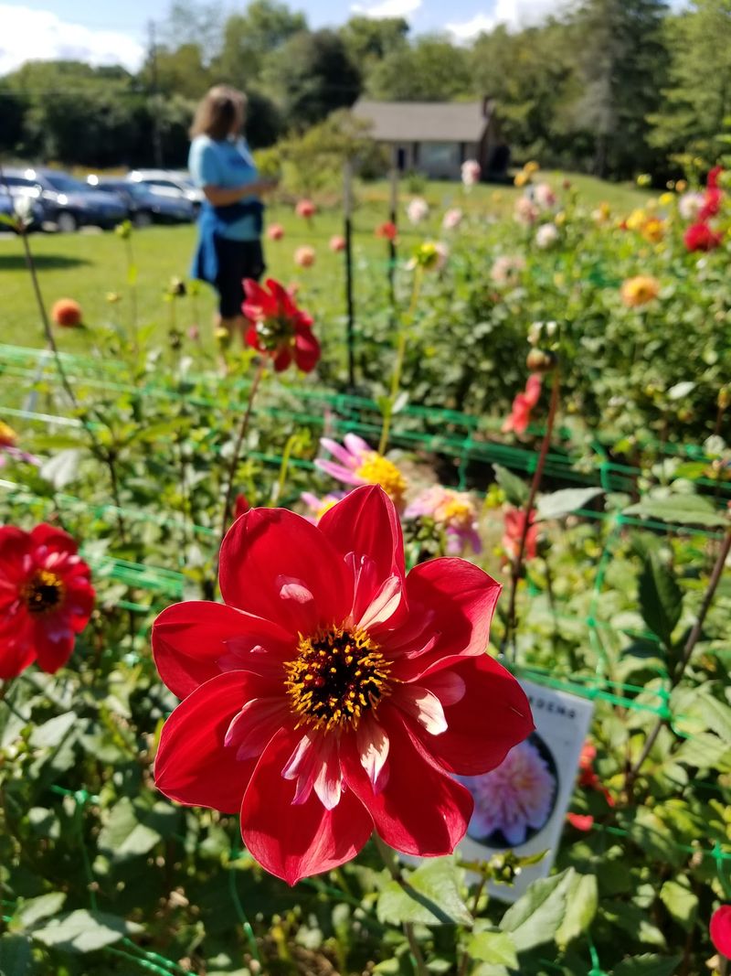 A Gift Shop and Plant Sale With Take-Home Charm
