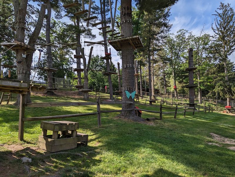 Zip Line And Ropes Course Add Extra Wiggle Room
