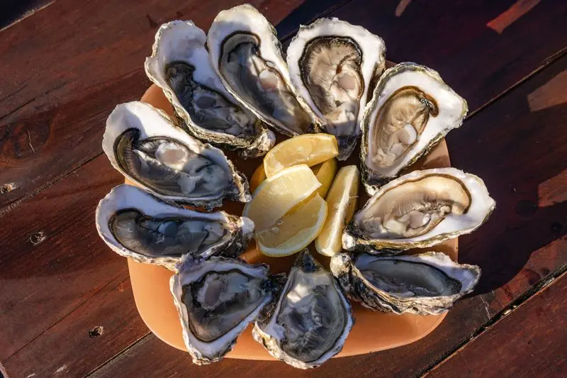 Yorktown Wine & Oyster Festival - Yorktown