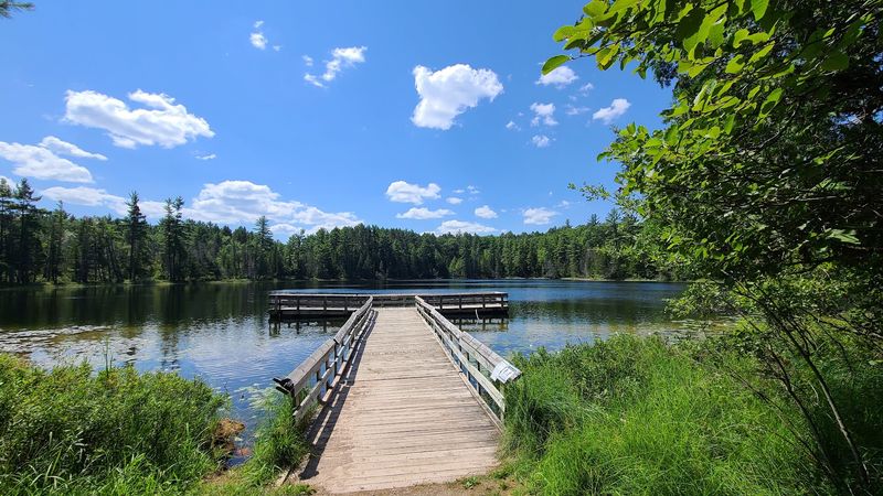 Hartwick Pines State Park, Grayling, Crawford County