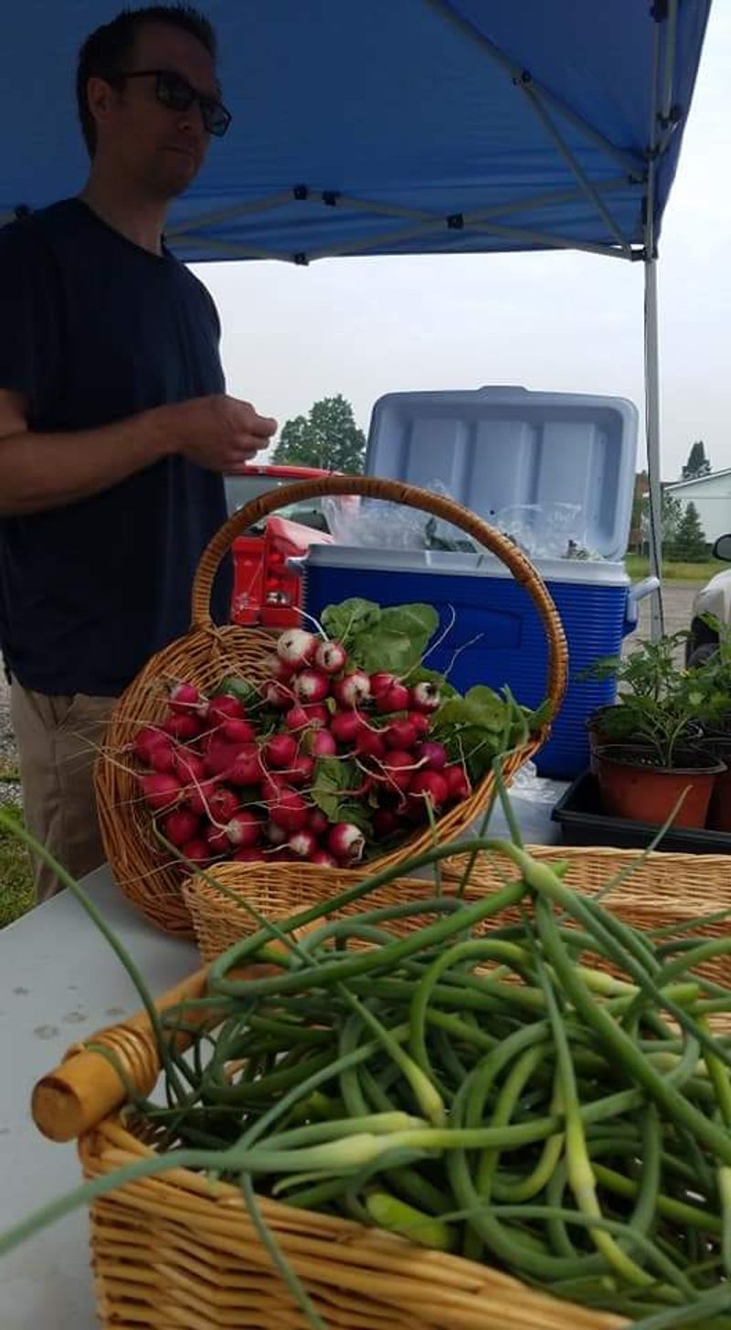 Old Town Emmet Farm Market - Petoskey