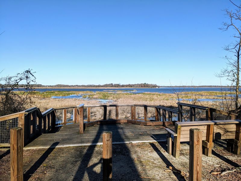 Ashton Tract Observation Deck - Augustine Wildlife Area