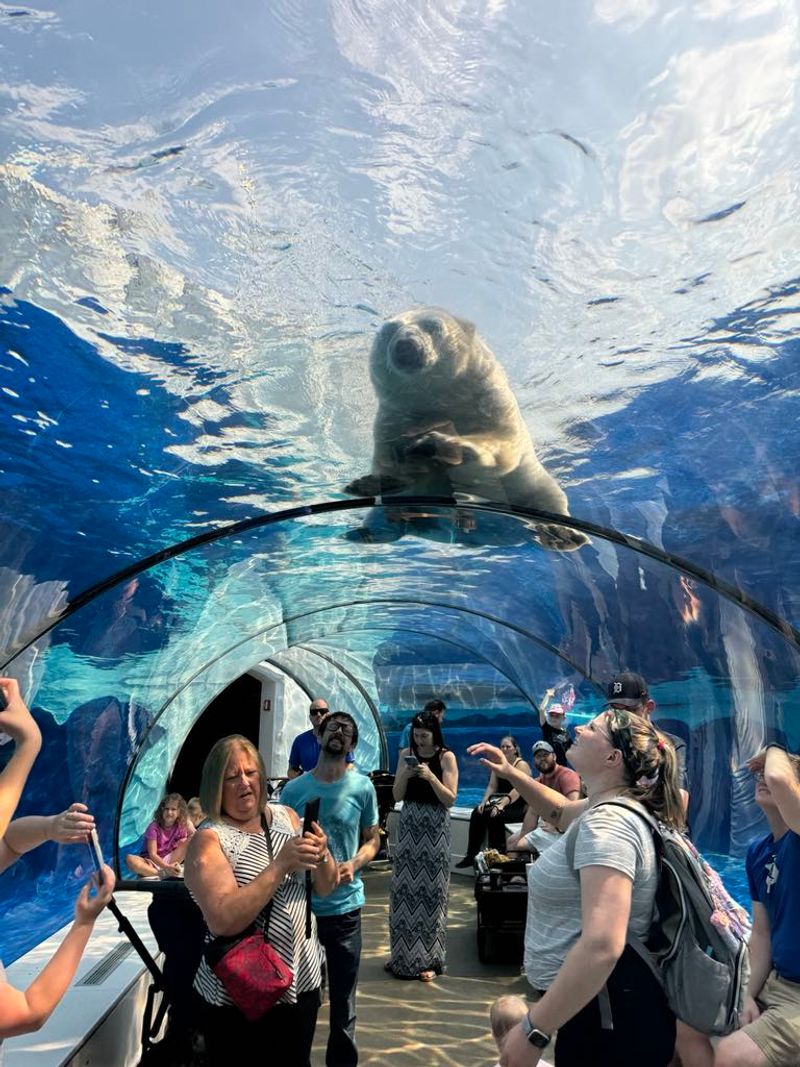 Detroit Zoo - Royal Oak, Oakland County,