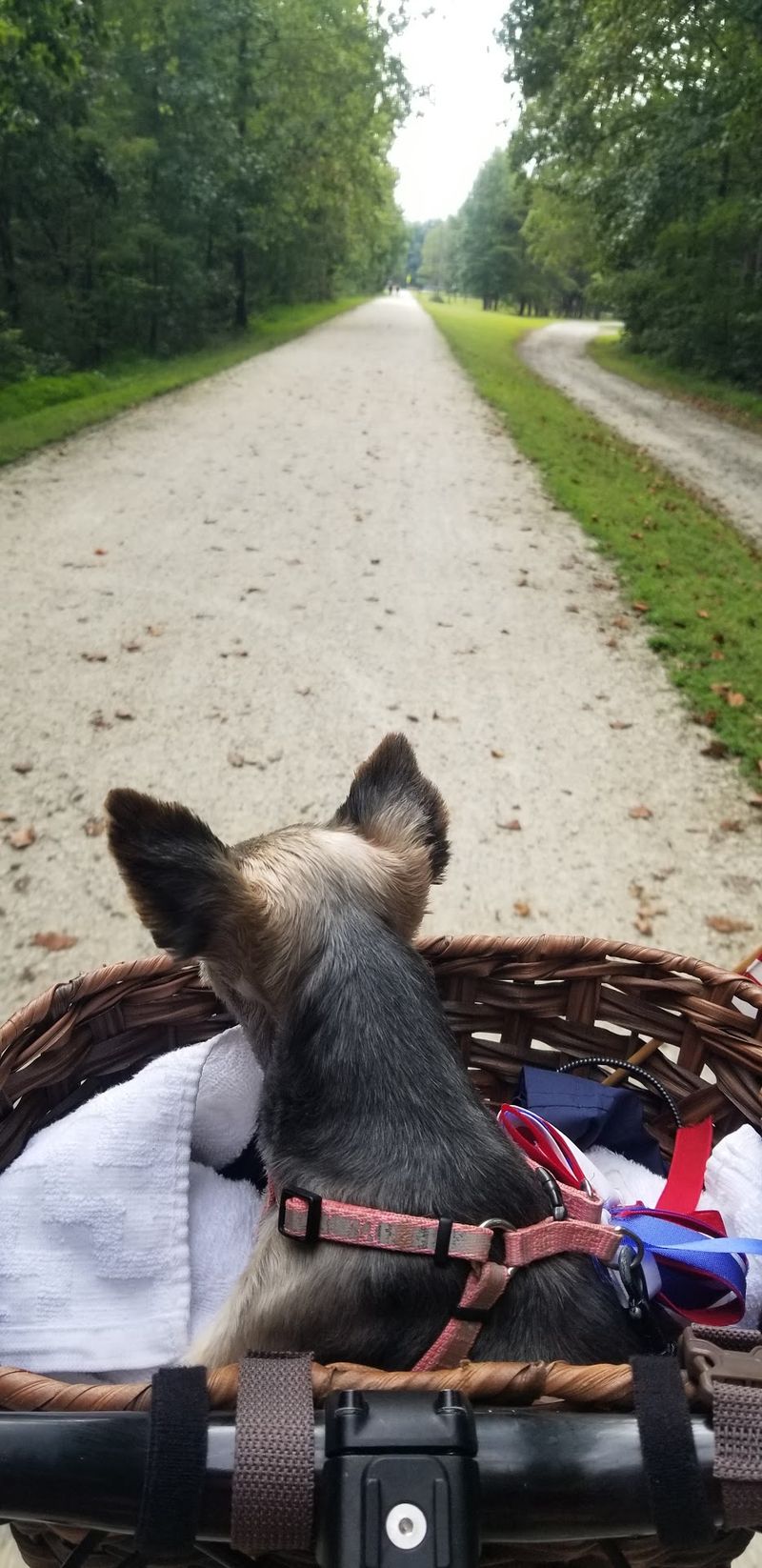 High Bridge Trail
