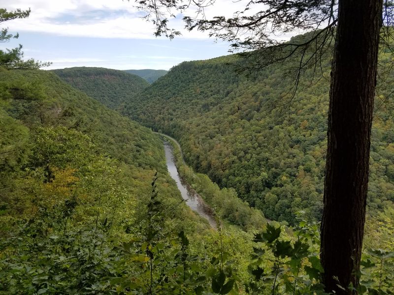 Pennsylvania Grand Canyon - Take in Jaw-Dropping Mountain Views