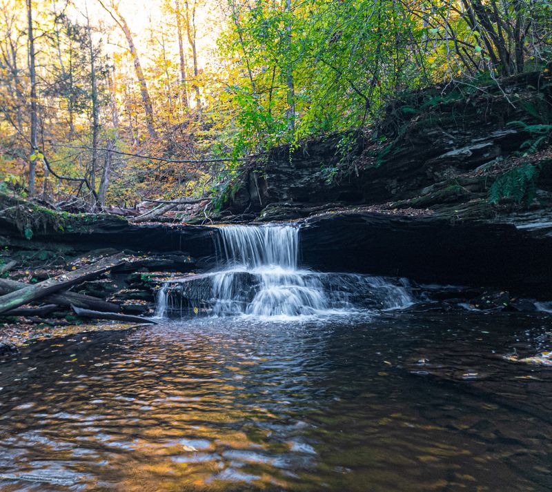 Ricketts Glen State Park: Chasing Waterfalls on a Budget