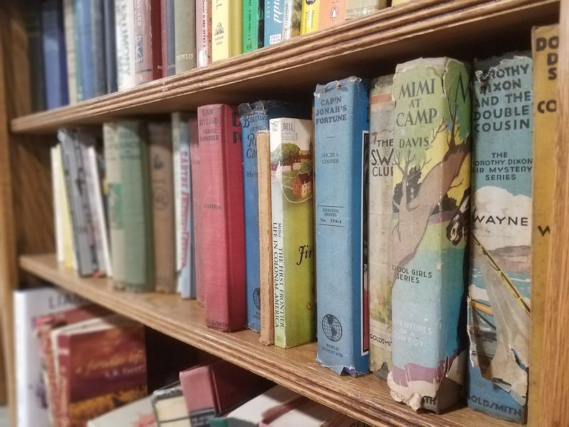 Bookshelves Built for Wandering Minds