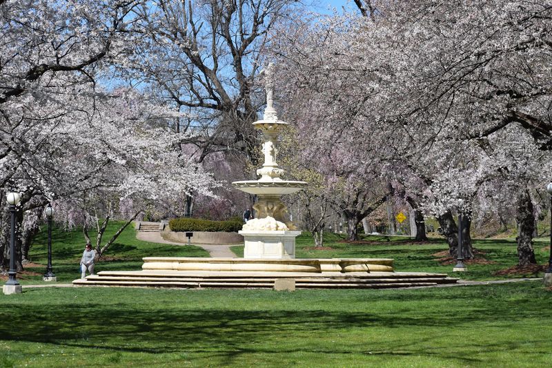 Brandywine Park - Wilmington