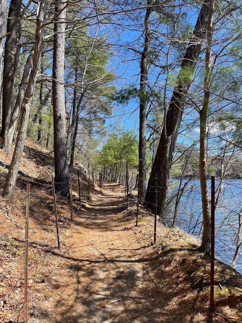 Walden Pond State Reservation, Concord, Middlesex County