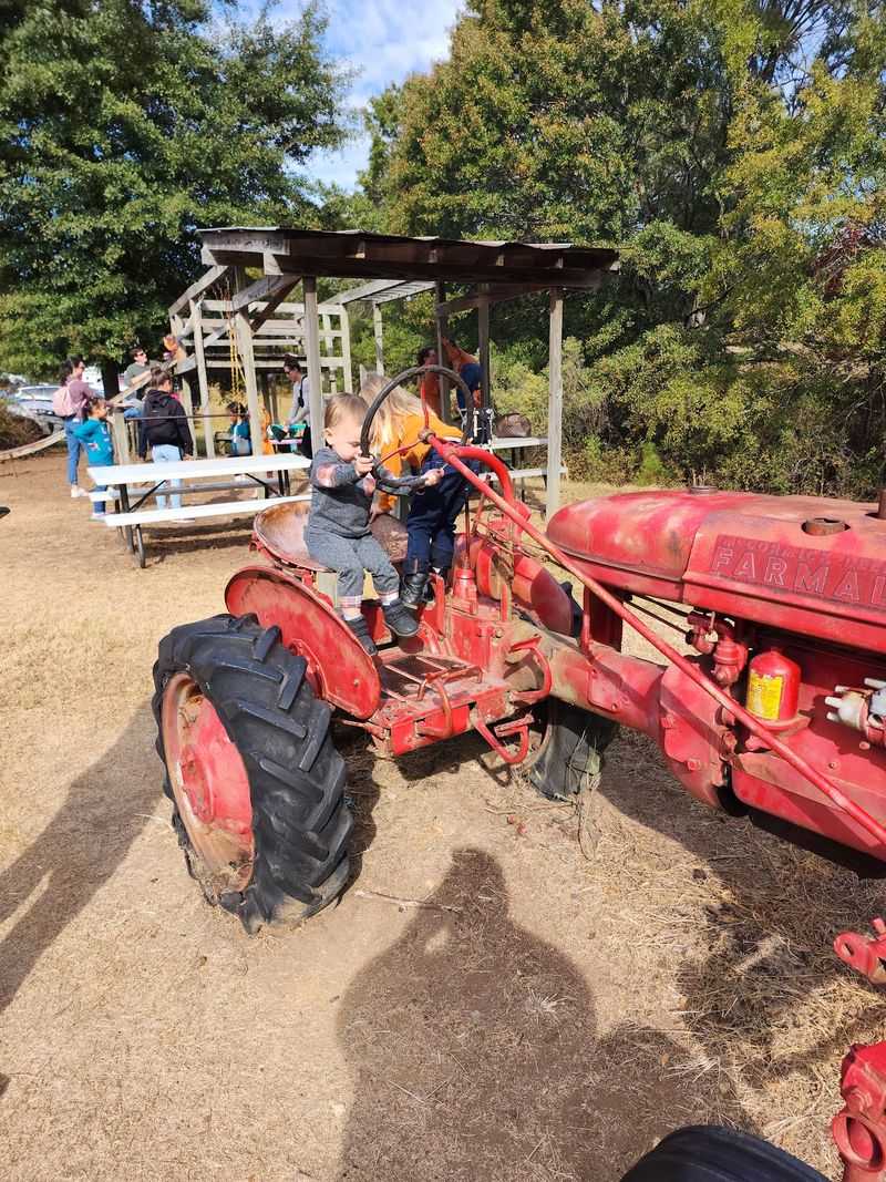 The Hayride That Winds Through Family History