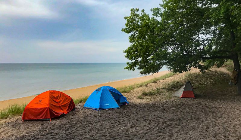 Nordhouse Dunes Wilderness Area, Ludington, Mason County,