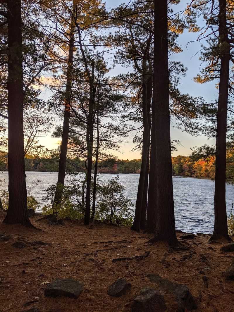 Lakeside Loops And Woodsy Surprises - Breakheart Reservation in Saugus, Essex County
