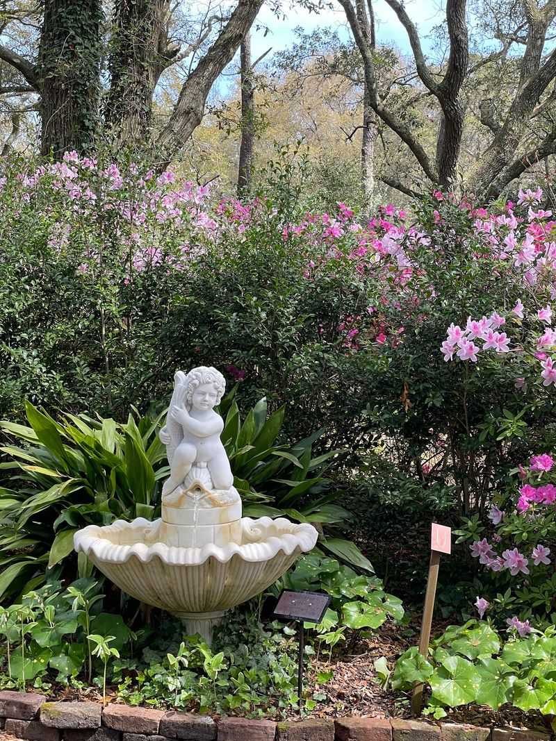 Blooms That Change With The Season