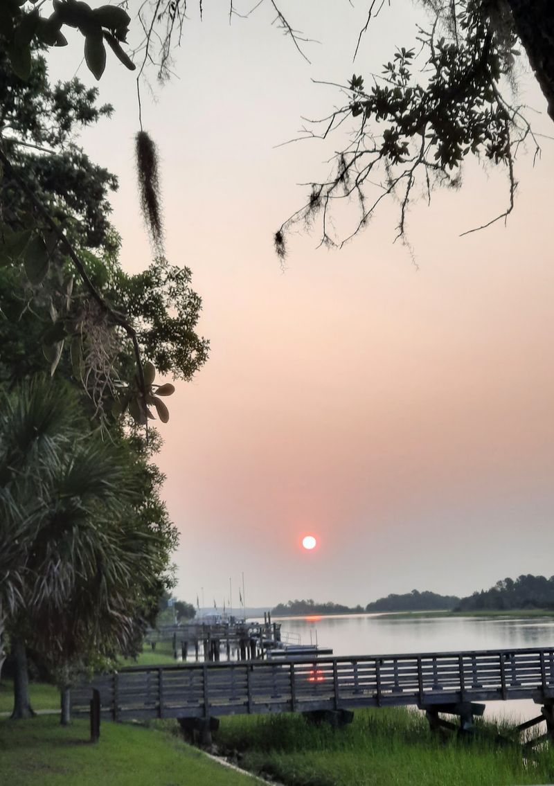 Marsh Views That Become The Main Event