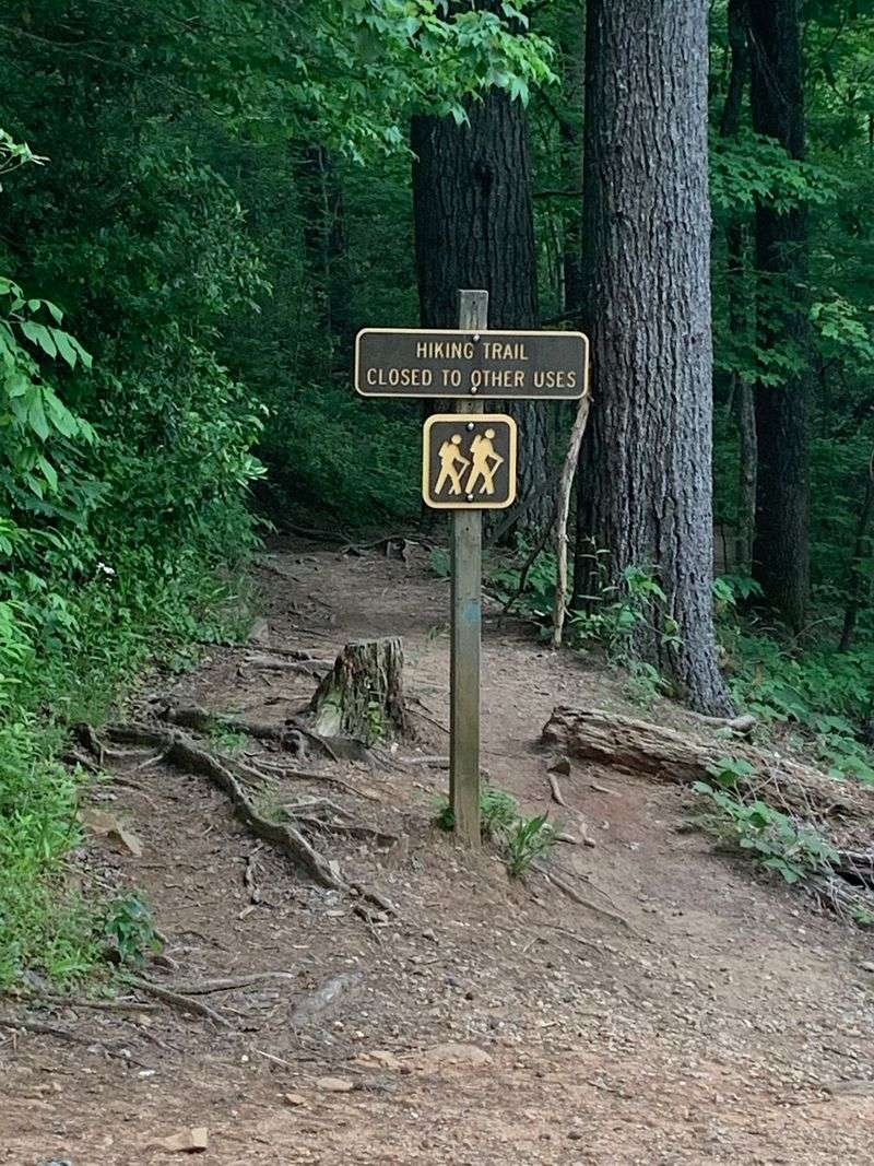 Panther Creek Trail - Chattahoochee National Forest