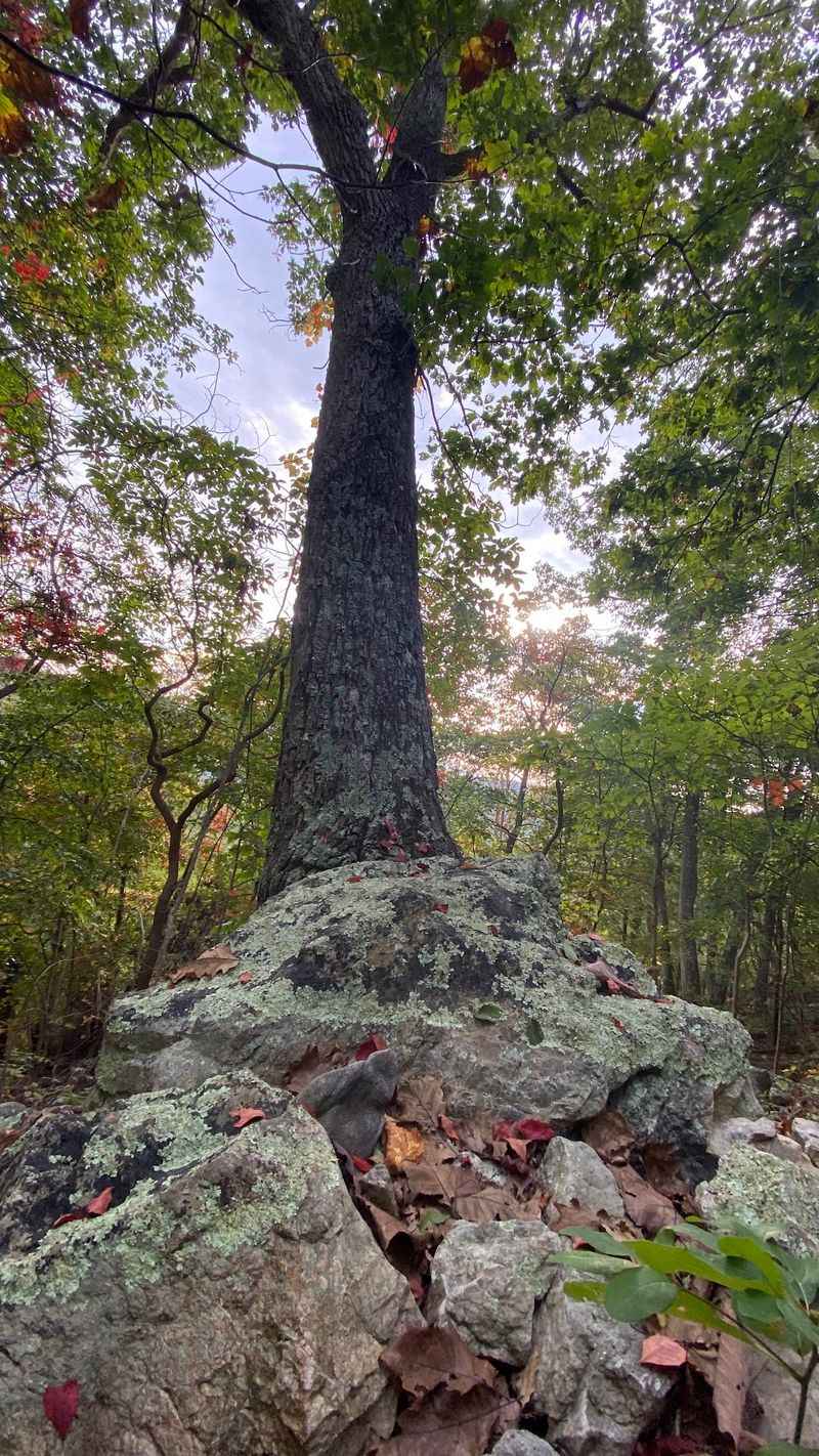 Signal Knob, Strasburg, Shenandoah County