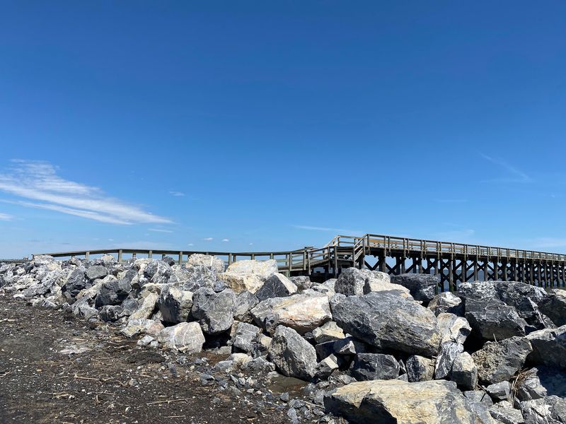 David Small Wildlife Viewing Boardwalk and Tower - Little Creek Wildlife Area