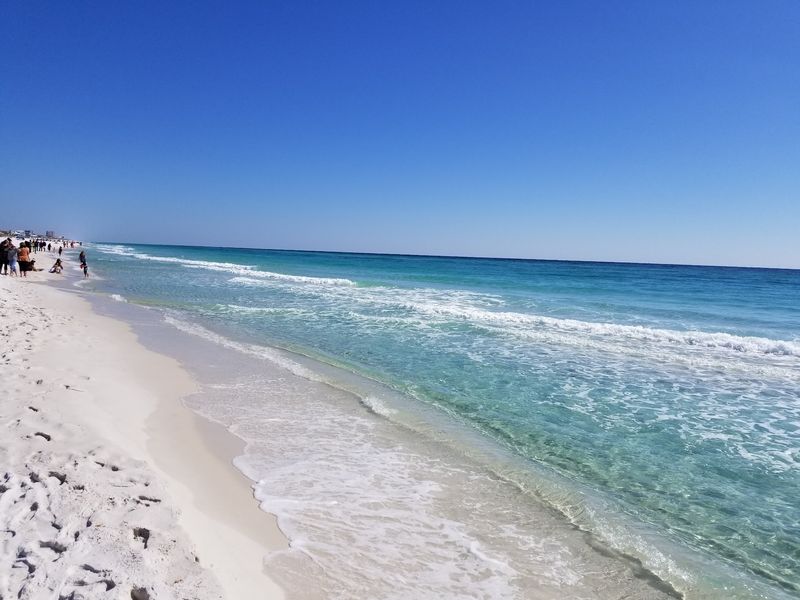 Peaceful at first glance, powerful in motion - Pensacola Beach