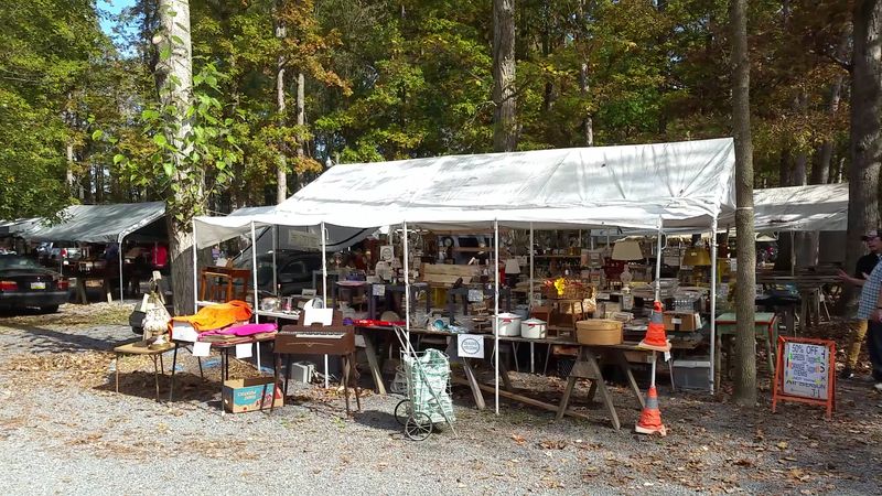 Shupp's Grove Antique Market (Reinholds)