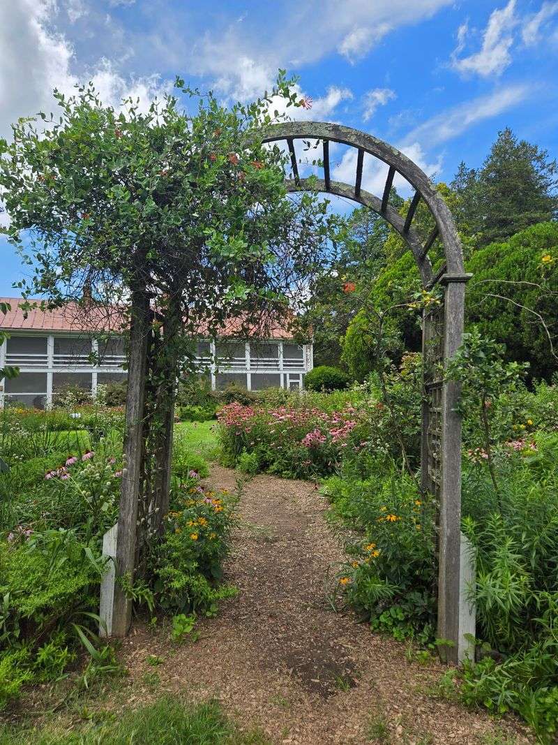 The State Arboretum of Virginia (Boyce)