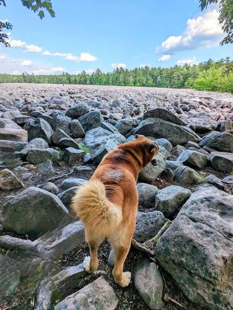 Hickory Run State Park
