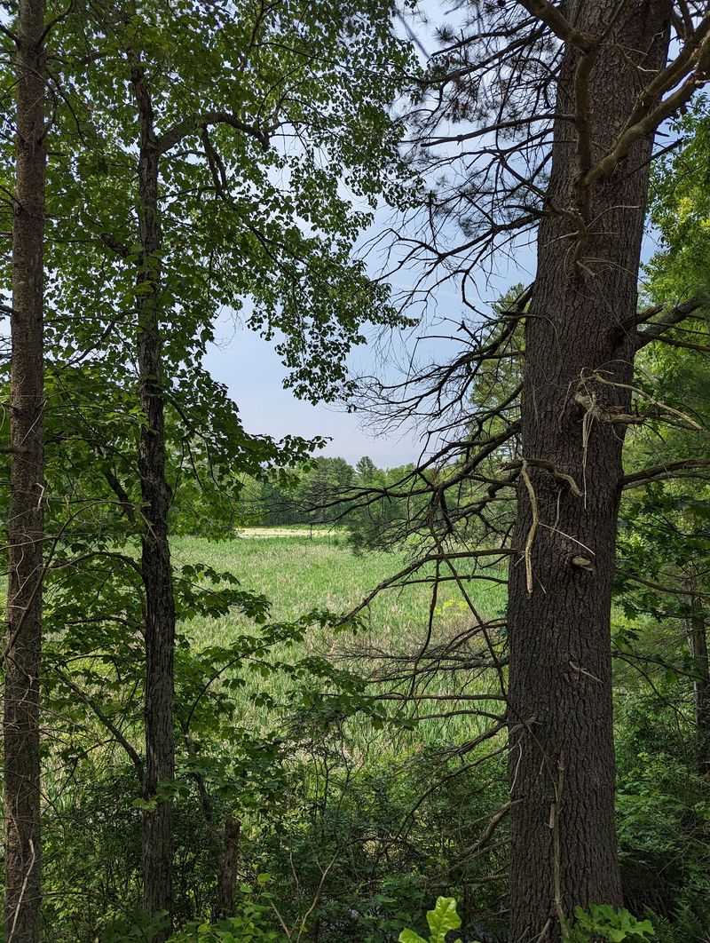 Explore the Hadley Farmland and Wetlands