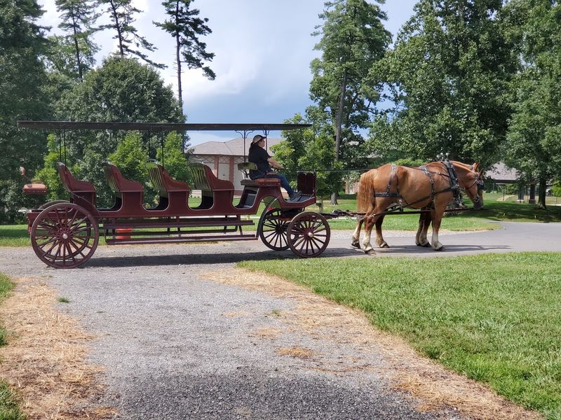 Choose Between a 30-Minute or 60-Minute Carriage Ride