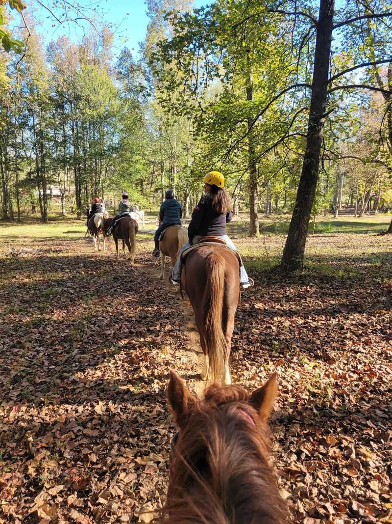 Choose a Trail Ride That Matches Your Comfort Level