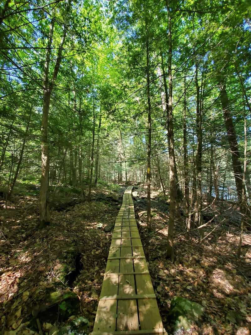 Easy Loop Trails for Beginners