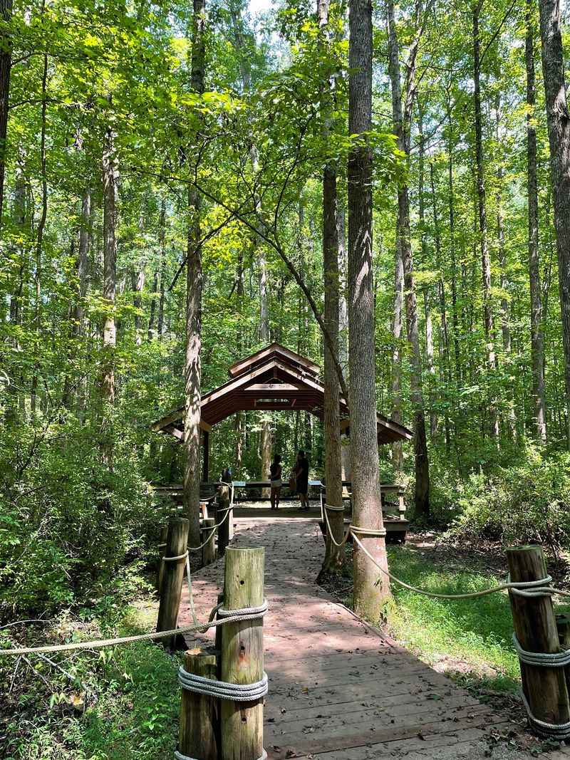 Wide Meadows and Lakeside Wanders - Latta Plantation Nature Preserve in Huntersville, Mecklenburg County