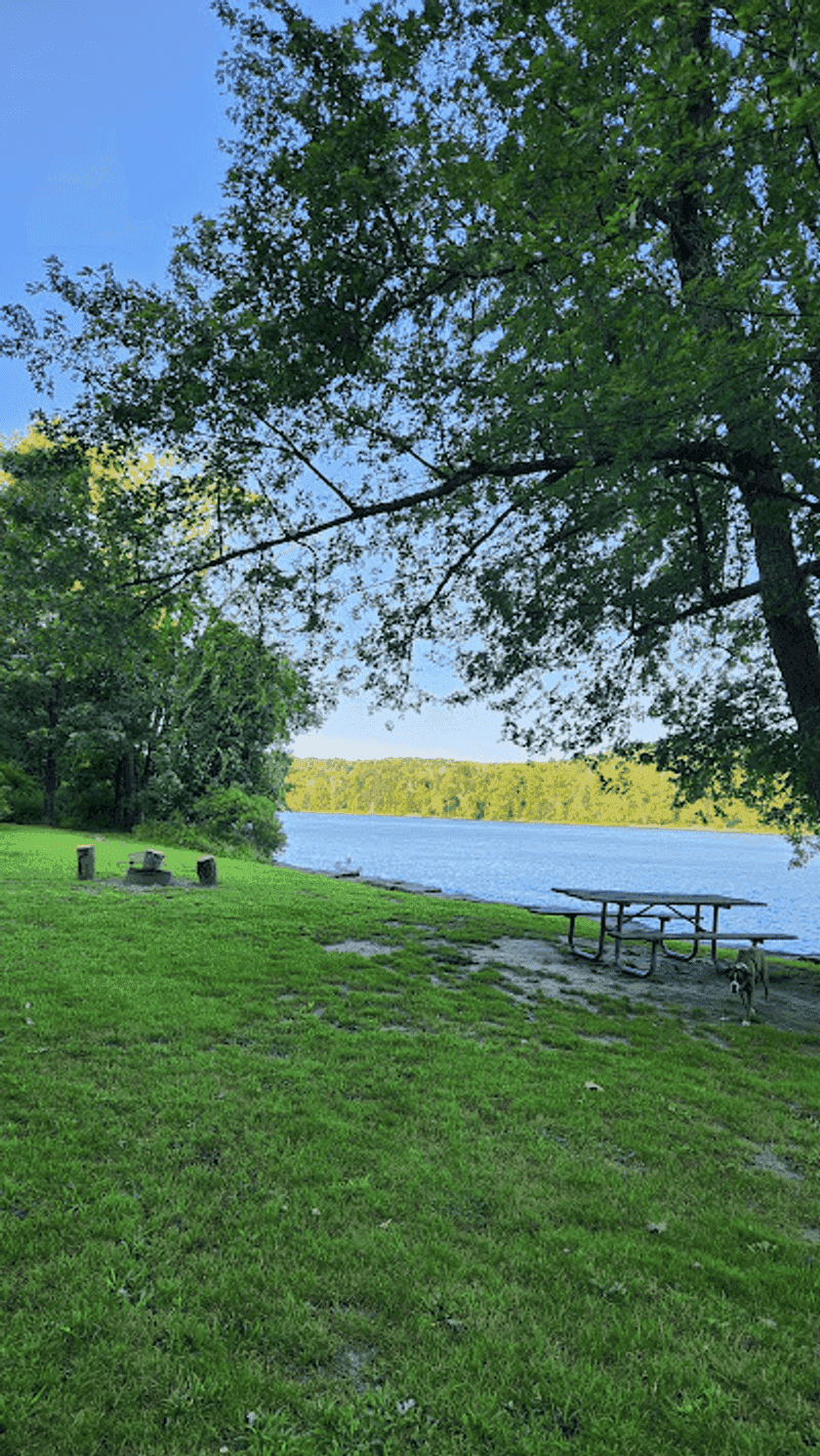 Picnic Spots Turn the Hike Into an Easy Afternoon