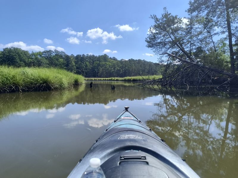 Kayaking Through a Coastal Playground