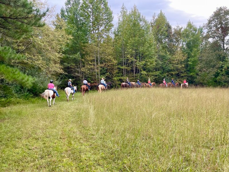 Shangrila Guest Ranch, South Boston