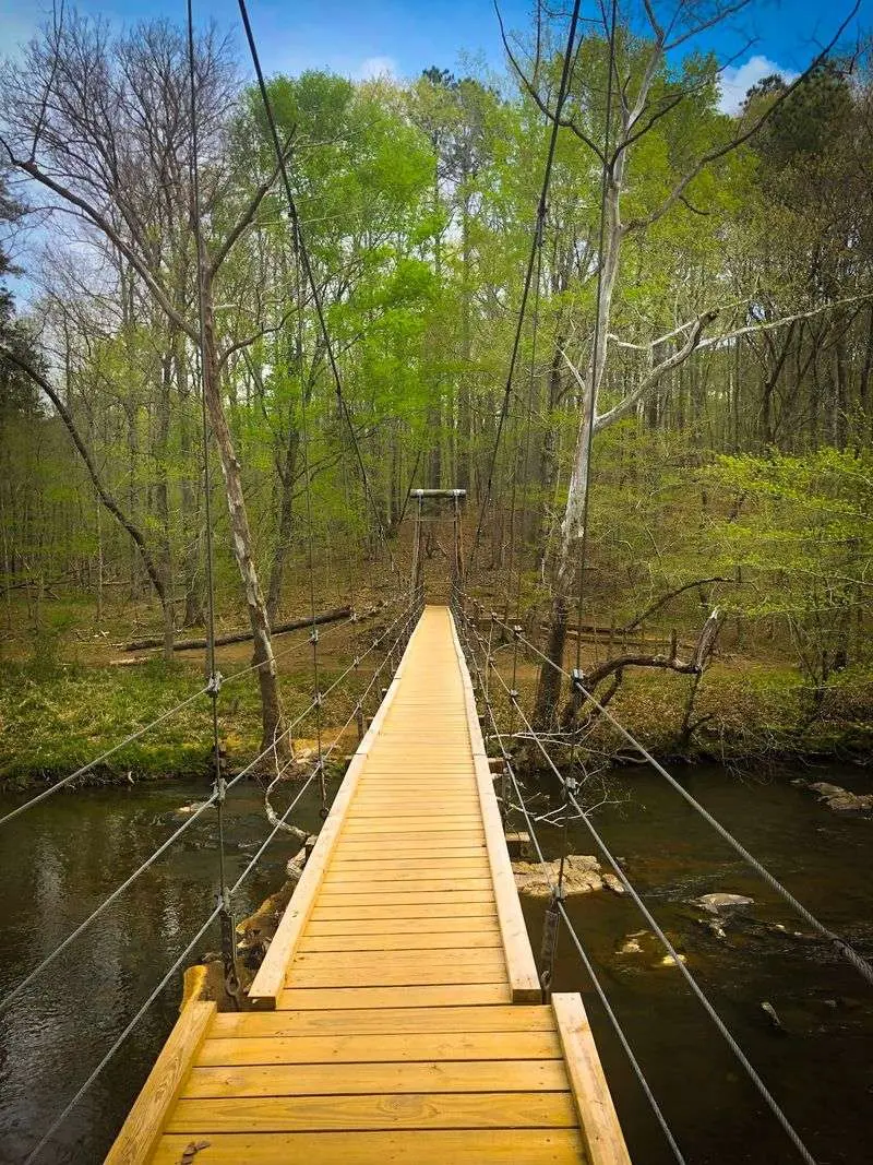 Cox Mountain Trail