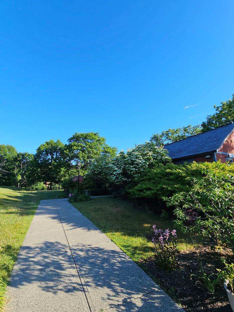 Trail Systems Perfect for Quick Nature Escapes