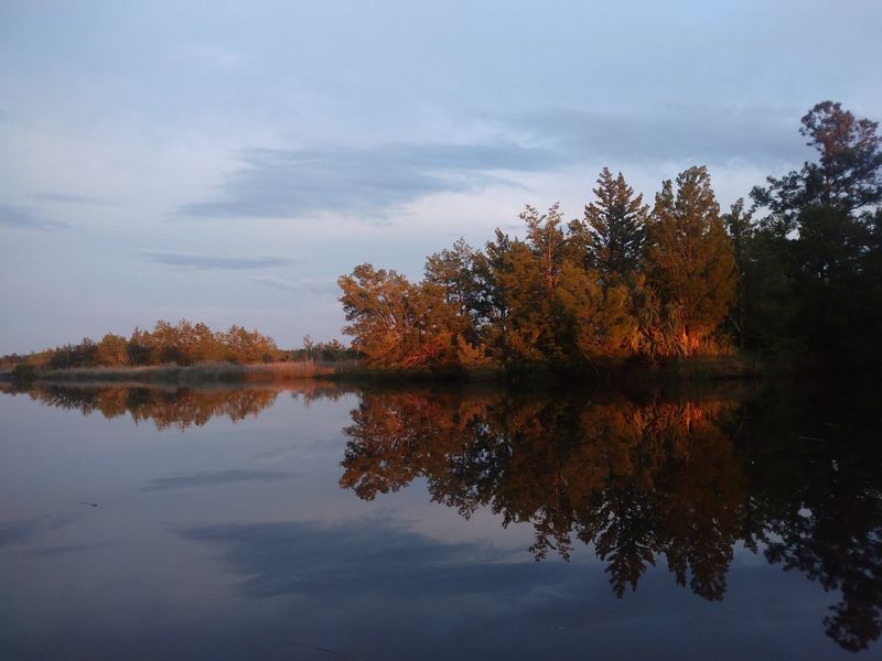 Satilla River Waterfront Park - Woodbine