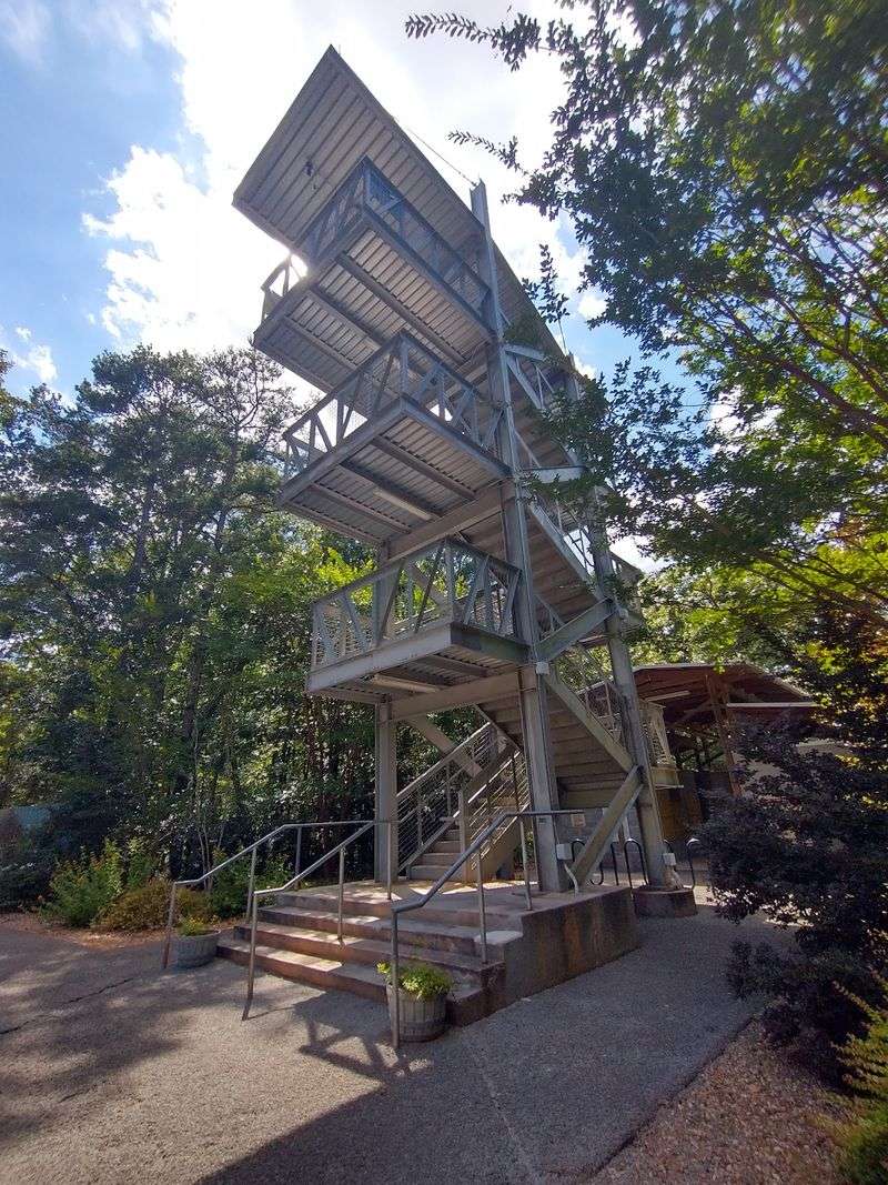 Rock Hawk Effigy Observation Tower - Eatonton