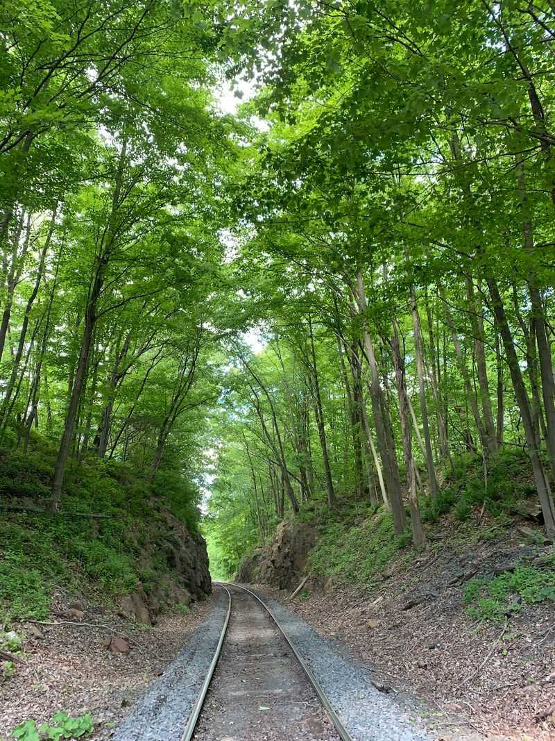 The Long Way Feels Right - Mattabesett Trail
