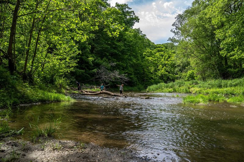 A Creek That Carves the Whole Experience