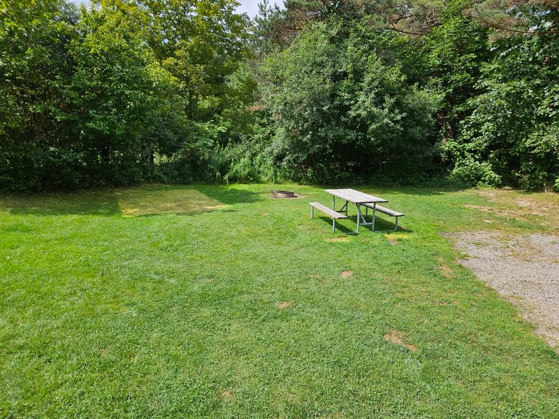 Campsites That Feel Roomy And Tucked Away