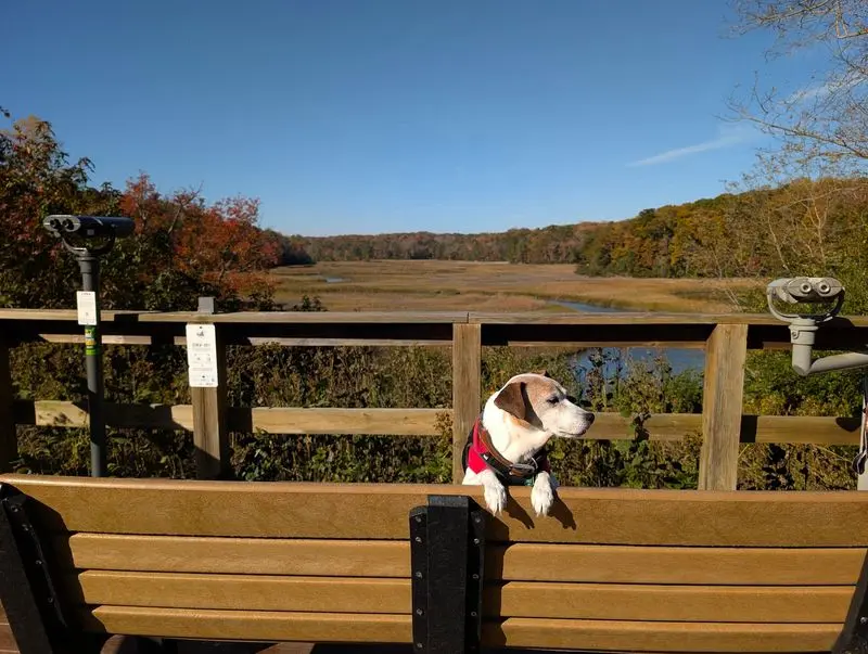 Mattaponi Trail