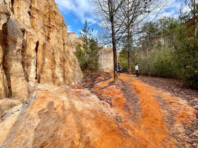 Providence Canyon - Georgia's Colorful Canyon Adventure